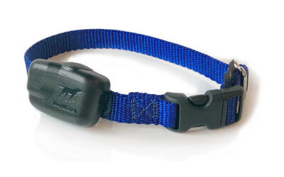 What Is The Best Dog Containment Collar In Australia?
