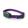 R12M Mini Receiver Collar for Small Dogs – DogWatch ® R12 Mini